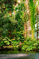 Cosmocaixa Museum, Barcelona.