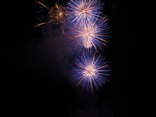 Colorful fireworks of various colors light up the night sky