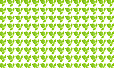 Green leaves pattern on white background