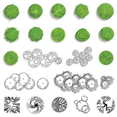 Trees and bush item top view \ top side for landscape design, vector icon