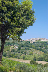 Blick auf Montefalco,den Balkon Umbriens nahe Perugia