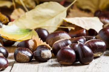 Chestnuts on an old wooden table in the autumn background, selec