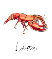 Boiled lobster