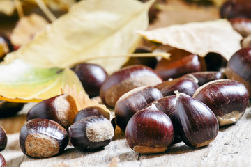 Chestnuts on an old wooden table in the autumn background, selec