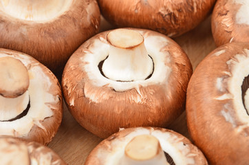 Fresh, raw and whole champignon (True mushroom)