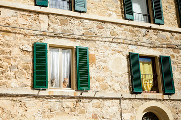 Fototapeta na wymiar Beautiful cats in Montalcino, Tuscany