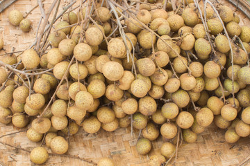 closeup longan fruit orchards in threshing basket, soft focus