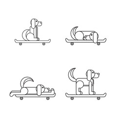 Dog sitting on a skateboard