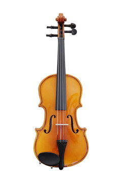 violoncello isolated under the white background