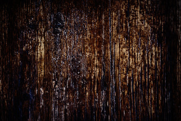 Vintage texture of bark wood natural background, dark brown colo