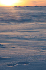 Sunset over the snowy desert. Bright orange blue sky
