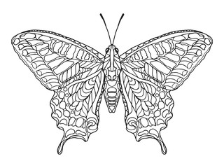 Fototapeta na wymiar Zentangle stylized butterfly. 