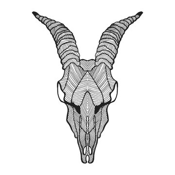 Zentangle stylized goat skull. Sketch for tattoo or t-shirt.