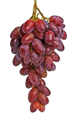 Fresh red grape on white background