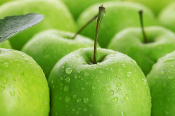 Ripe green apples close up