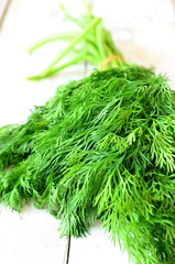 Bunch of fresh dill, close-up