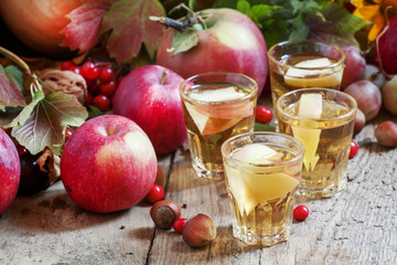 Apple juice with slices of fresh apples in the autumn background