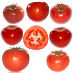 tomato isolated