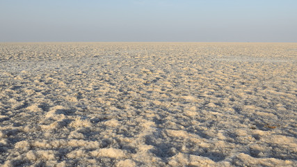 India, salt desert