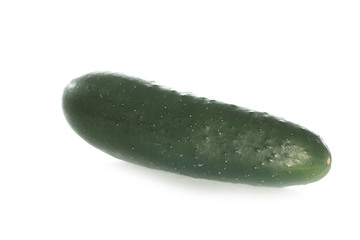 cucumber isolated