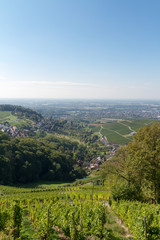 Fototapeta na wymiar Aussicht von der Burgruine Neuwindeck bei Bühl, Baden-Württemb