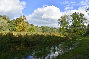Obraz premium Le ruisseau 