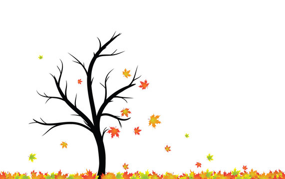 Magical colorful autumn season tree with red, yellow, orange, colour leaves in the wind and floor. Beautiful autumn season tree with leaves illustration isolated on white with copy space.