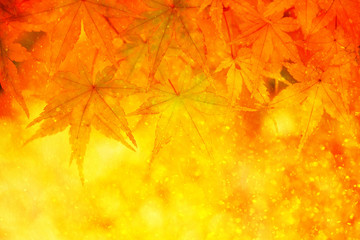 Blurred magical golden color autumn maple leaves in the rain. Lovely sunny and rainy autumn season leaves with copy space background. Selective focus used.
