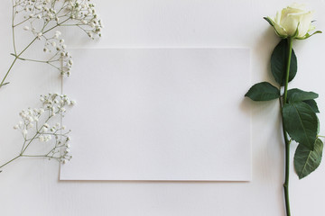 Mockup for presentations