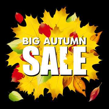 Seasonal big autumn sale business background with colored leafs