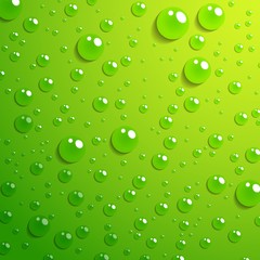 Water drop on green background