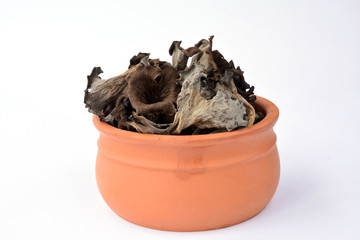 Craterellus cornucopioides in clay bowl