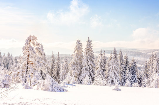 Winterlandschaft im Harz zwischen Brocken, Sankt Andreasberg und Braunlage 
