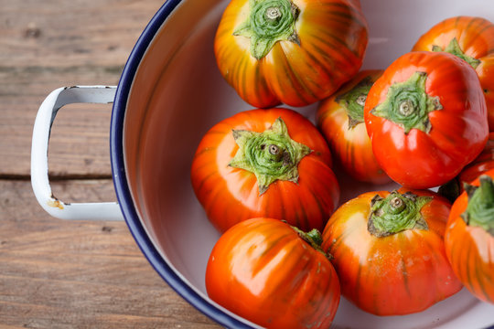 File:African scarlet eggplant (Solanum aethiopicum).jpg - Wikimedia Commons