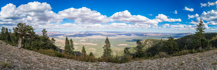 Grand Canyon Landscapes