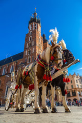 Naklejka na ściany i meble Horse carriages at main square in Krakow