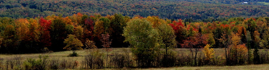 Panoramic of Fall Landscape