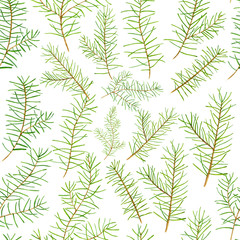 Watercolor seamless pattern pine branches