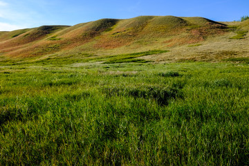 Rolling hills in western high-grass prairie