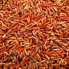 bowl of red wild rice