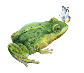 Watercolor green frog with blue butterfly