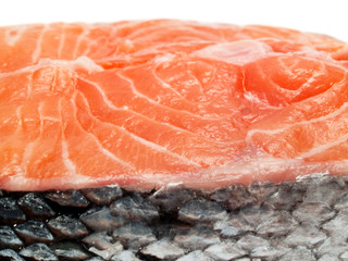 Raw salmon