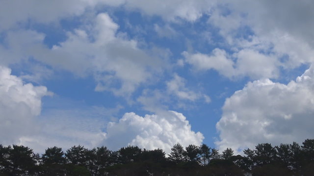 雨上がりの公園_青空に流れる雲