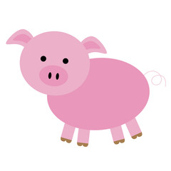 Isolated Pig