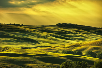 Obrazy na Szkle  Toskania wiosna, wzgórza na zachód słońca. Wiejski krajobraz. Zielony