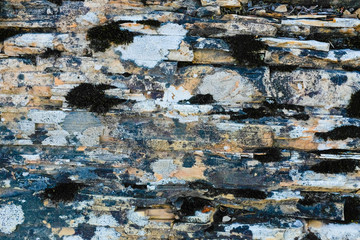 Limestone and dolostone texture