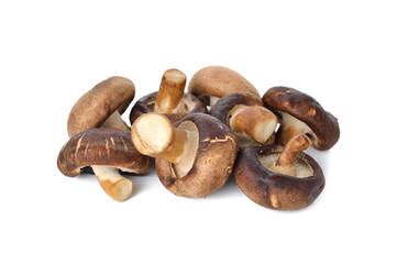 fresh Shiitake mushrooms on white background