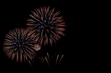 Fototapeta premium Beautiful firework