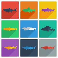 Set of freshwater fish with shadow flat concept modern design
