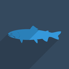 Flat icons modern design with shadow of loach